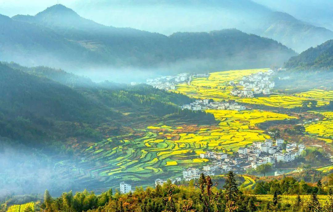 江西,红土地上绽放的绿色奇迹